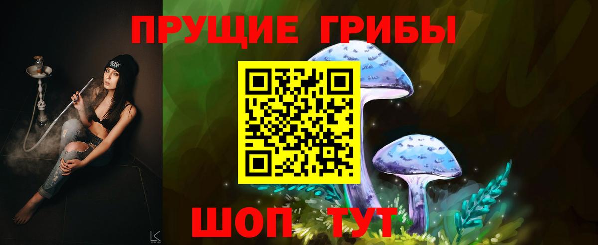 Татарск  Псилоцибиновые грибы GOLDEN TEACHER  Вход с VPN  Псилоцибиновые грибы GOLDEN TEACHER 